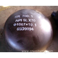 Stainelss steel casting 3 inch Pipe cap for